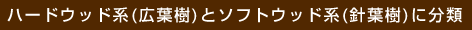 ハードウッド系(広葉樹)とソフトウッド系(針葉樹)に分類